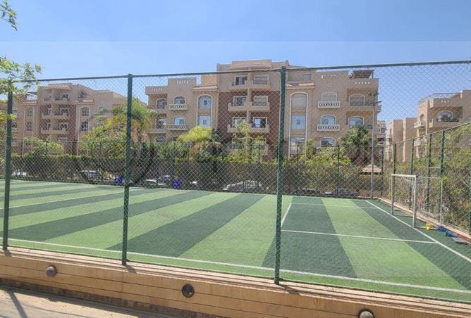 64392948 - Property Image 3