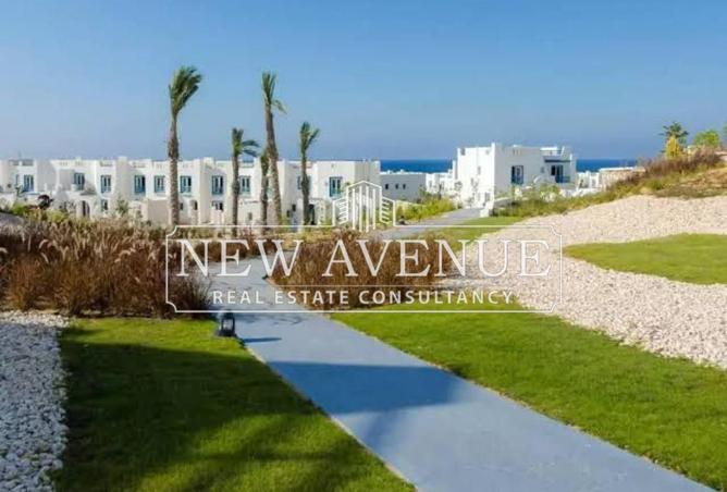 64895587 - Property Image 3