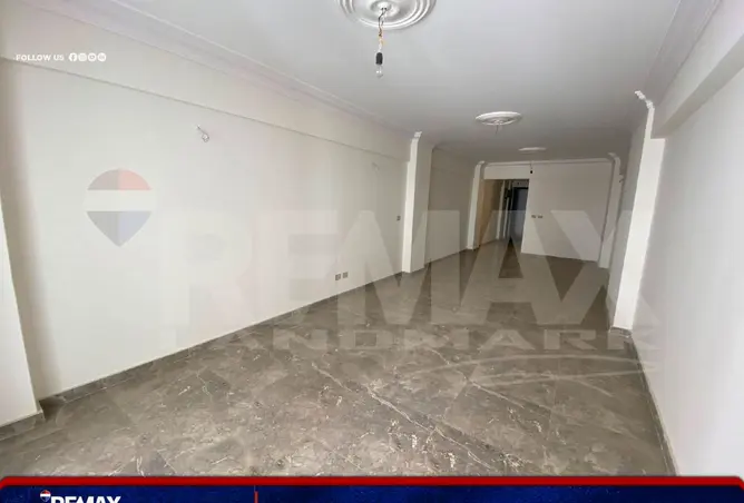 107399520 - Property Image 2