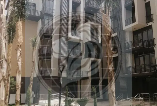 118795211 - Property Image 2