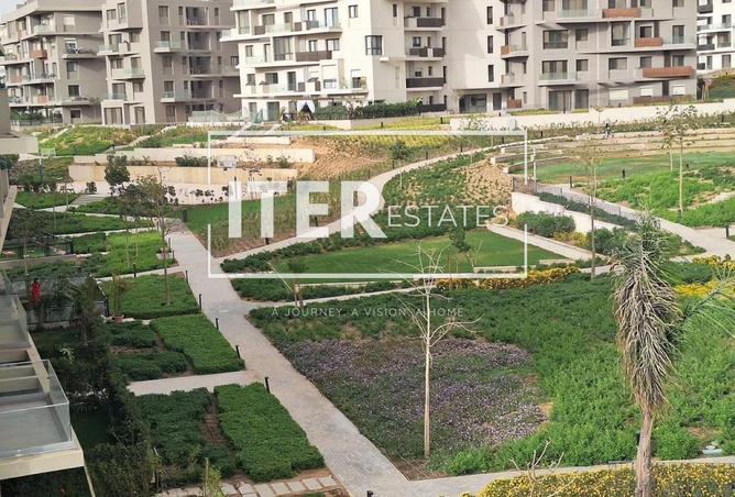 53731995 - صورة العقار 2