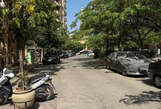 113824177 - صورة العقار 2
