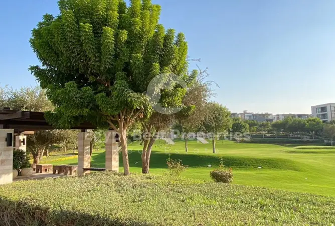 117011686 - صورة العقار 2
