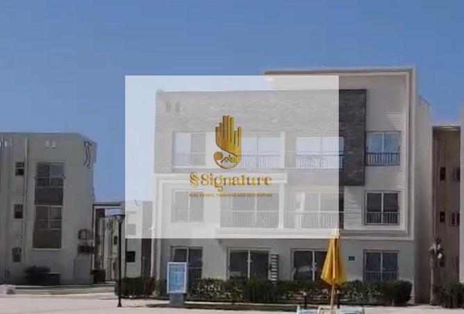 70359793 - Property Image 3