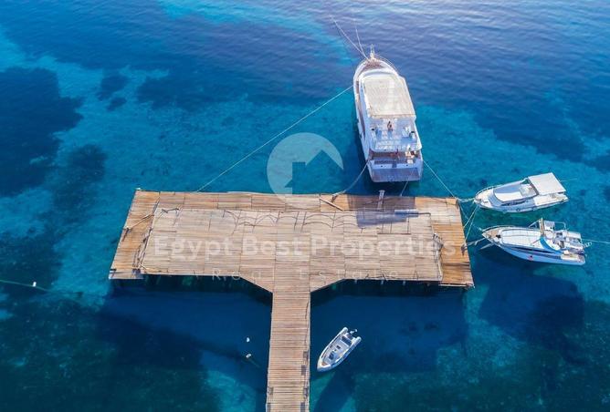 8571980 - صورة العقار 3