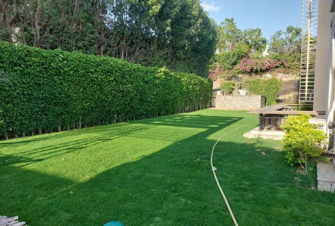 53735759 - صورة العقار 3