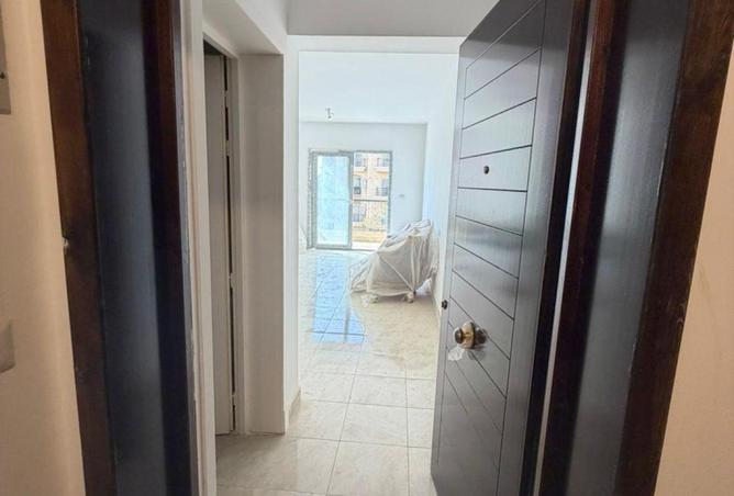 57249502 - Property Image 3