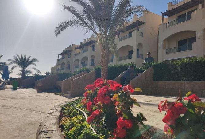 56995914 - صورة العقار 3