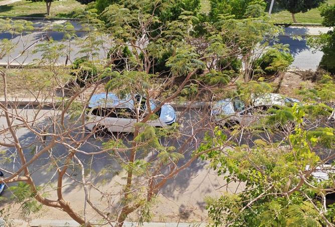 69048461 - صورة العقار 3