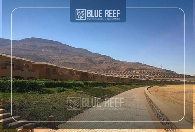 68790076 - صورة العقار 3