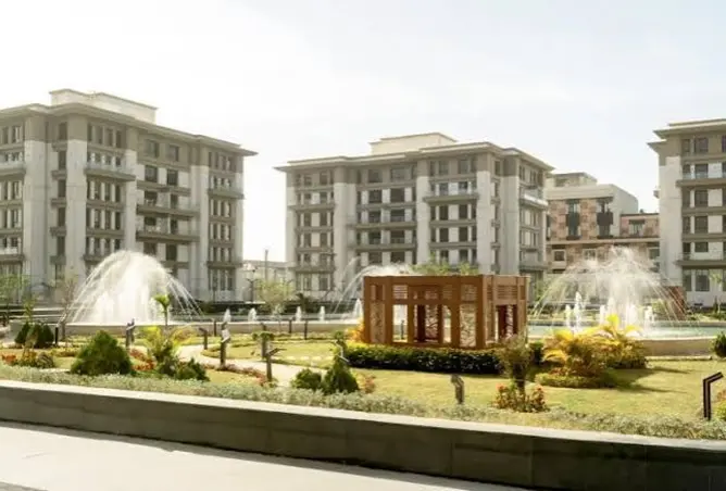 119329588 - Property Image 3