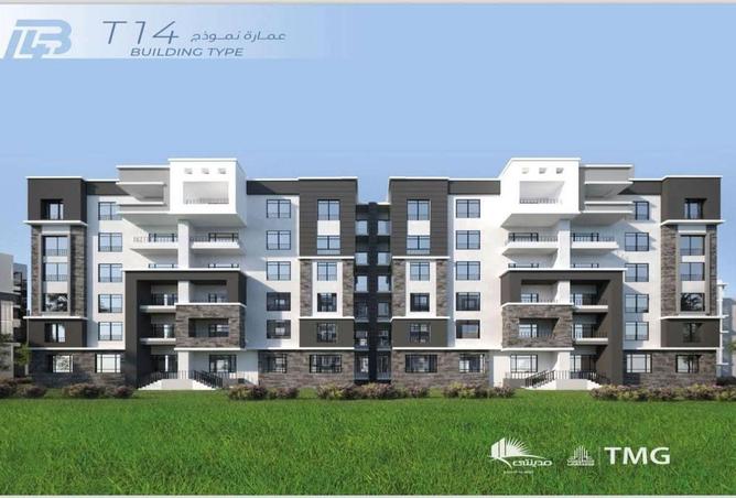 56003295 - Property Image 3