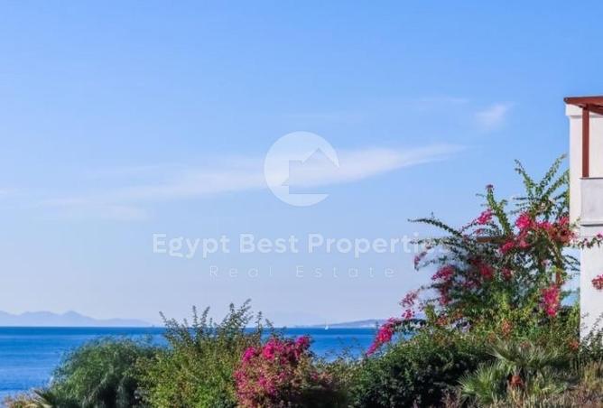 59239857 - Property Image 3