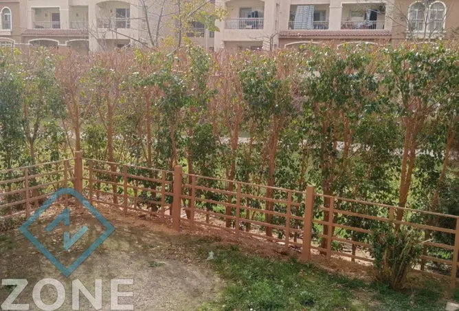113537783 - صورة العقار 2