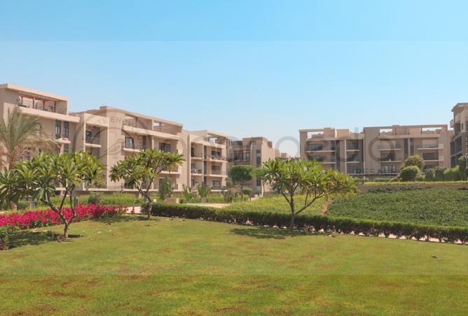 53976443 - صورة العقار 3