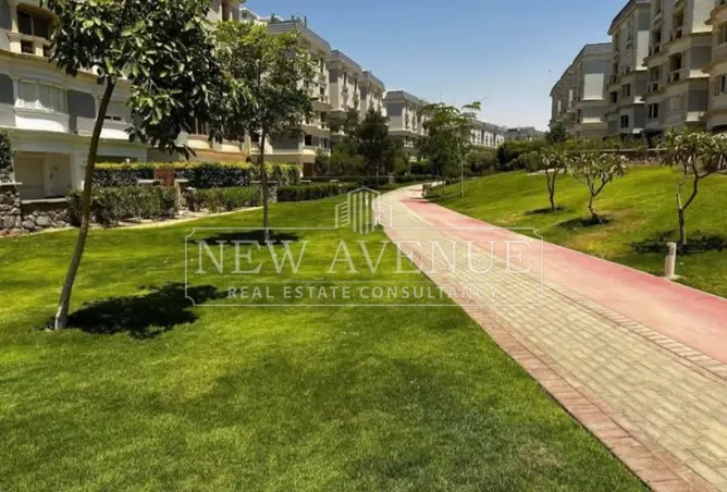 111602764 - Property Image 3