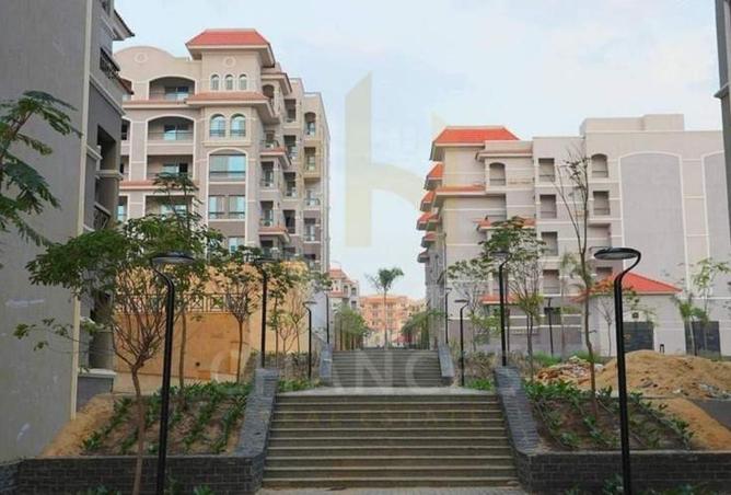 58493646 - صورة العقار 3