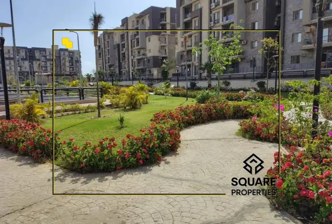 116748198 - Property Image 3