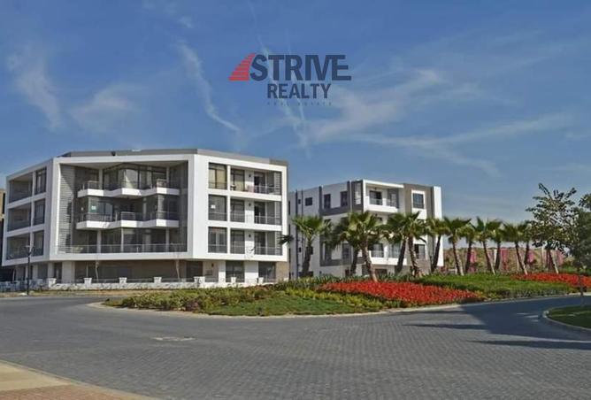 82094895 - Property Image 3