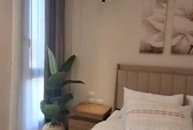 71398859 - Property Image 3