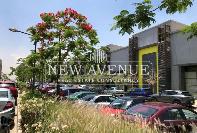 68003489 - صورة العقار 3