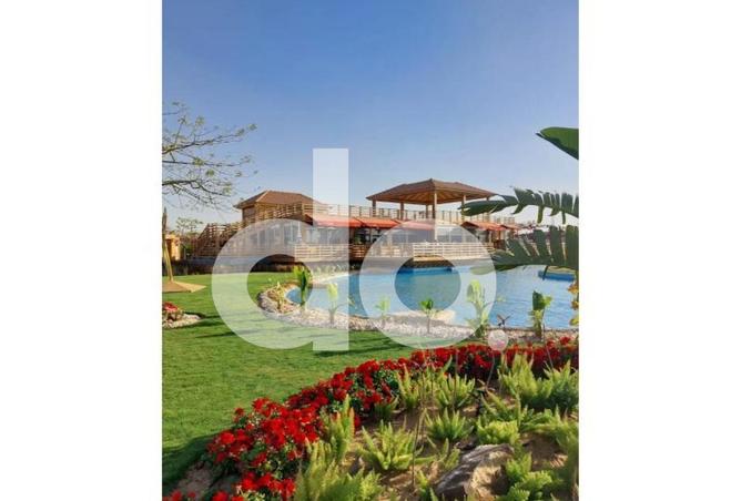 62644015 - صورة العقار 3