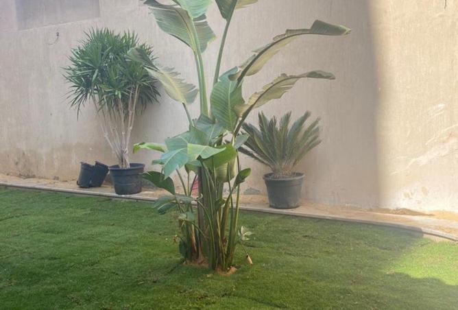 8626108 - Property Image 2