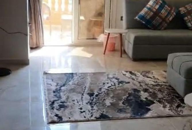 58736999 - صورة العقار 2