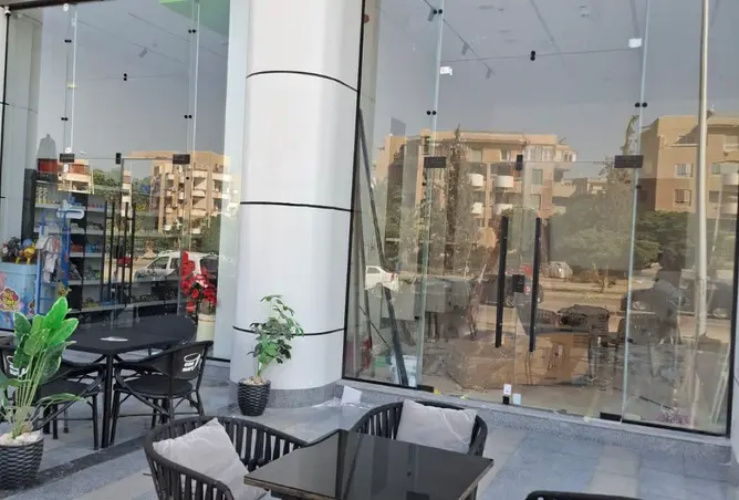 113250333 - صورة العقار 3