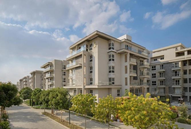 64637503 - Property Image 3