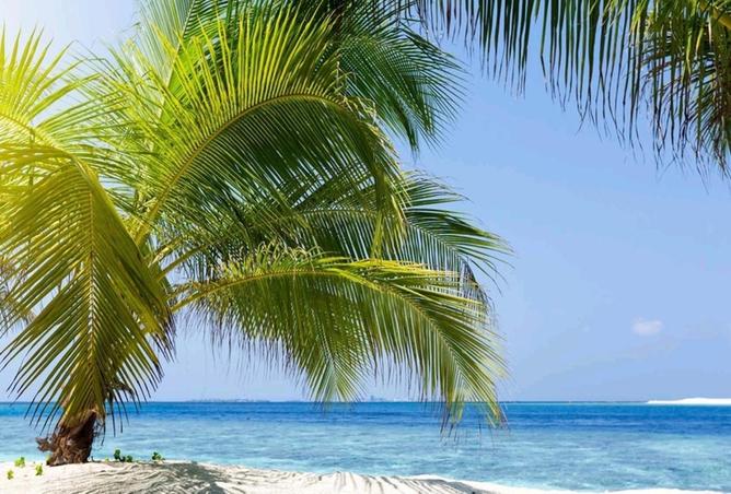 8596168 - Property Image 3