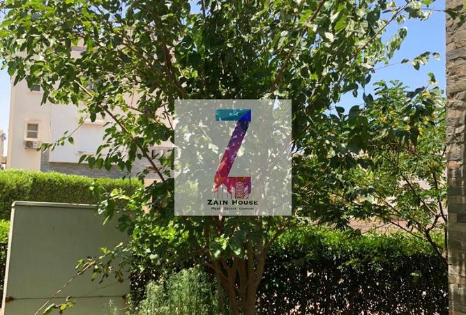 63801806 - Property Image 2