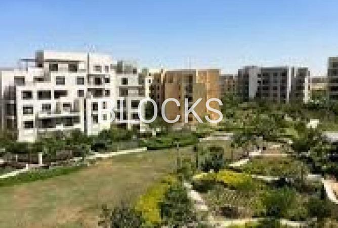 52464124 - Property Image 2