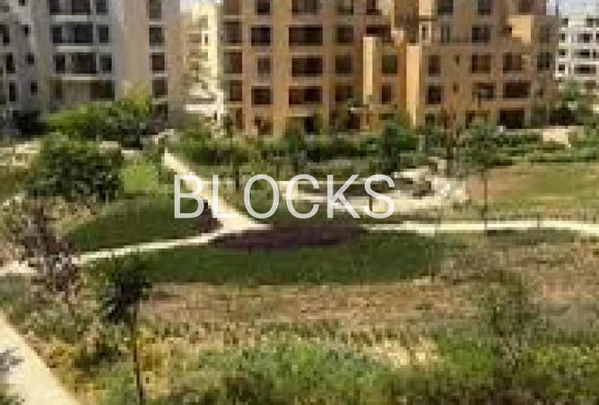 52464124 - Property Image 3