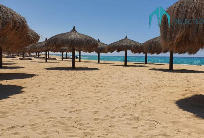 8456677 - Property Image 3