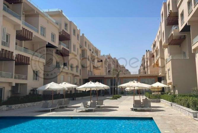 100927698 - Property Image 3