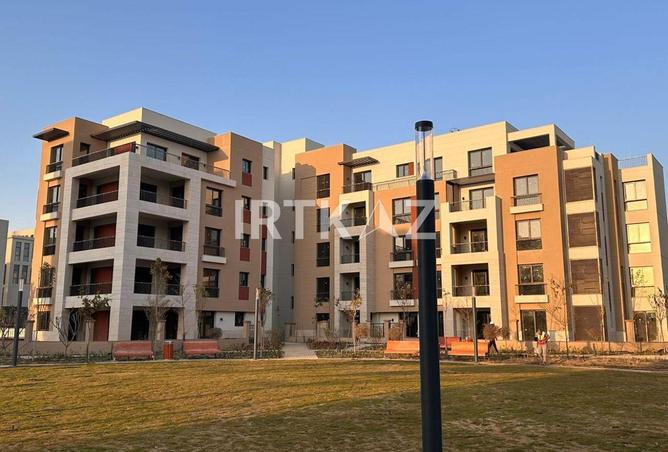 80781778 - Property Image 2