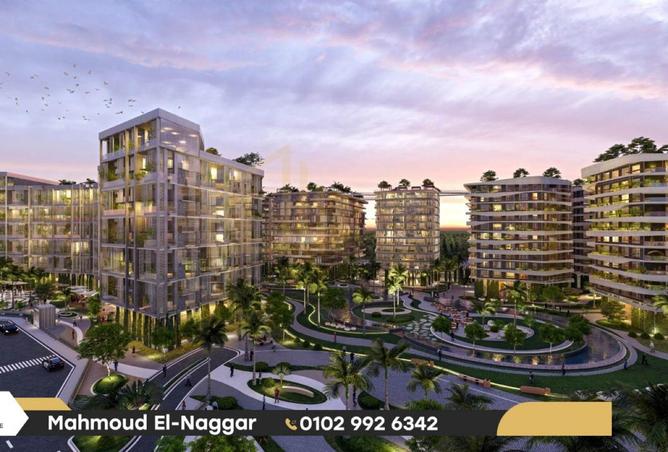 57998715 - Property Image 3