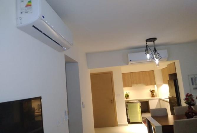 8433824 - Property Image 3