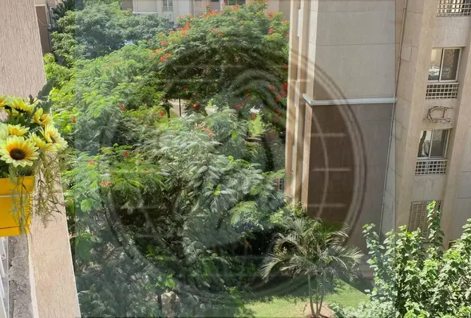 118028581 - Property Image 3