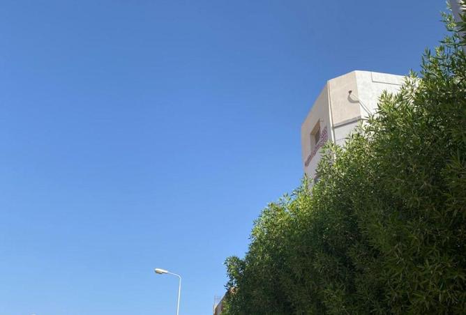 59244670 - صورة العقار 3