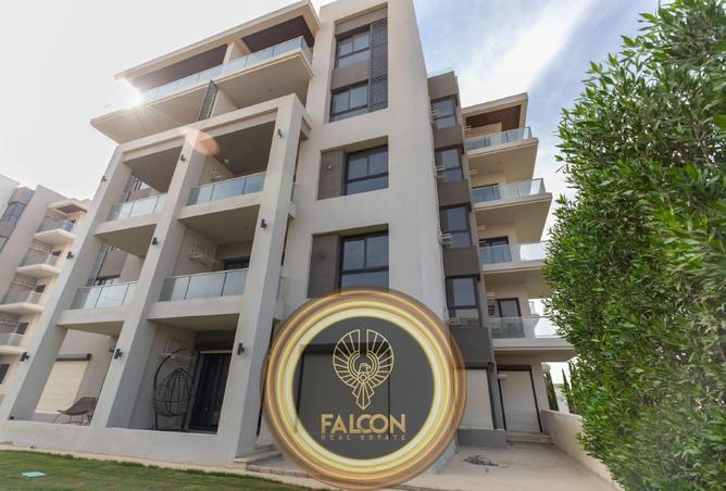 55498678 - Property Image 2