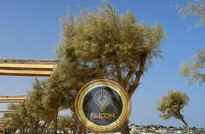 شاليه - 2 غرف نوم - 2 حمامات للبيع في مرسي باجوش - قسم مرسي مطروح - الساحل الشمالي شاليه - 2 غرف نوم - 2 حمامات للبيع في مرسي باجوش - قسم مرسي مطروح - الساحل الشمالي