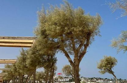 Chalet - 2 Bedrooms - 2 Bathrooms for sale in Marsa Baghush - Qesm Marsa Matrouh - North Coast Chalet - 2 Bedrooms - 2 Bathrooms for sale in Marsa Baghush - Qesm Marsa Matrouh - North Coast