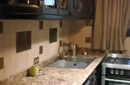 Apartment - 2 Bedrooms - 1 Bathroom for rent in Dr Ibrahim Nagy St. - 9th Zone - Nasr City - Cairo