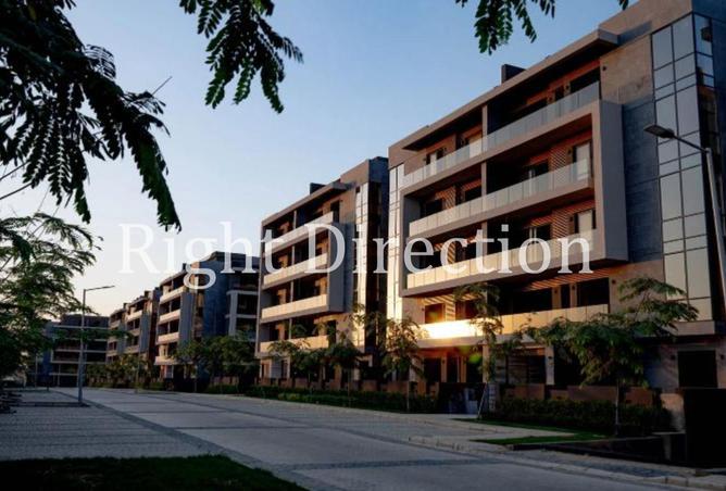 8513156 - Property Image 3