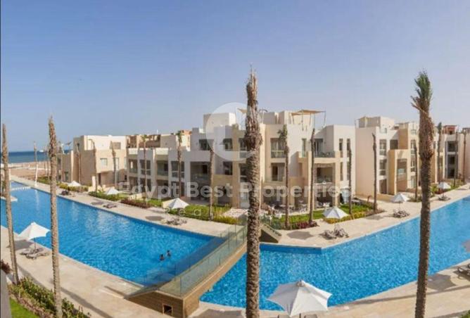 8647482 - Property Image 3