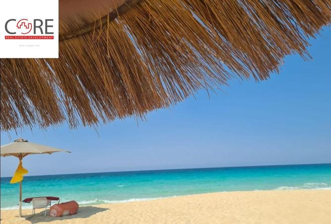 65923811 - Property Image 2