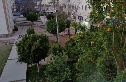 شقة - 2 غرف نوم - 1 حمام للبيع في الحي الحادي عشر - الشيخ زايد - الجيزة