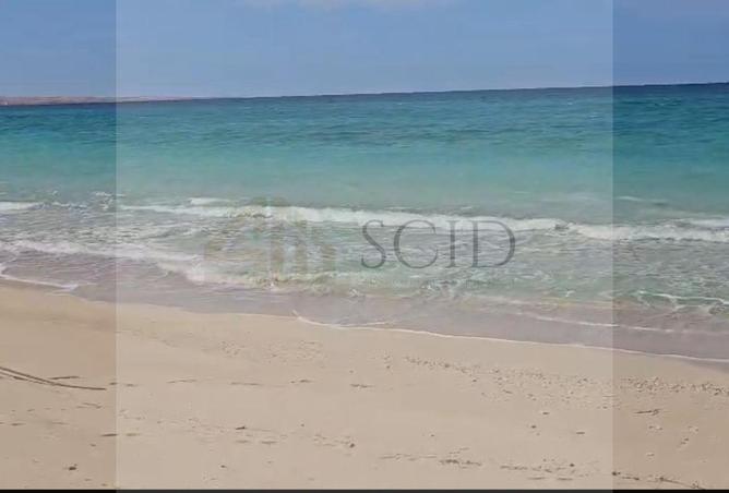 66427919 - Property Image 2